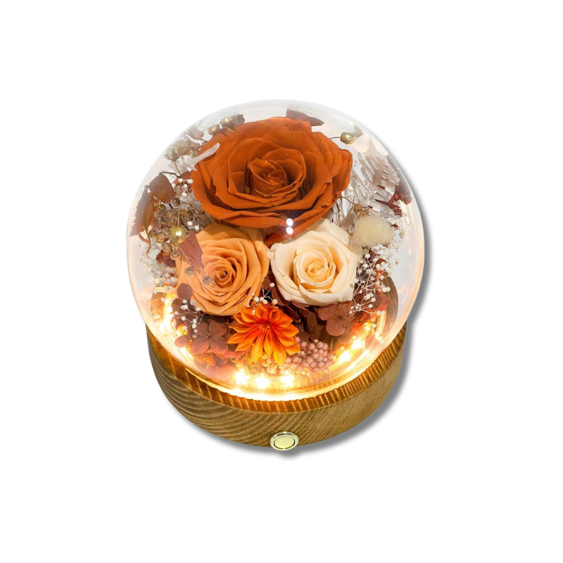 Eternal Rose Glass Dome Gift