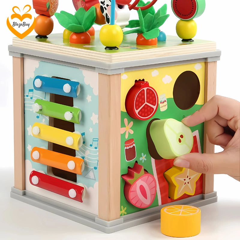 Montessori Wooden Activity Cube