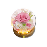 Eternal Rose Glass Dome Gift