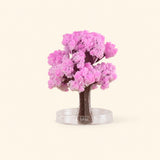 CrystalBloom™ Sakura