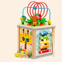 Montessori Wooden Activity Cube