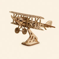 Wooden Ferris Wheel Puzzle
