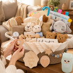 Luxury Baby Gift Basket