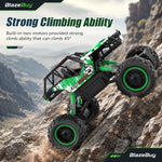 Large 4WD Remote Control Car