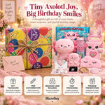 Axolotl Gift Box Set