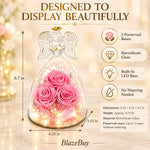 Eternal Angel Rose Dome