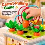 Montessori Wooden Activity Cube
