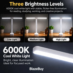 LED Double-Head Desk Lamp