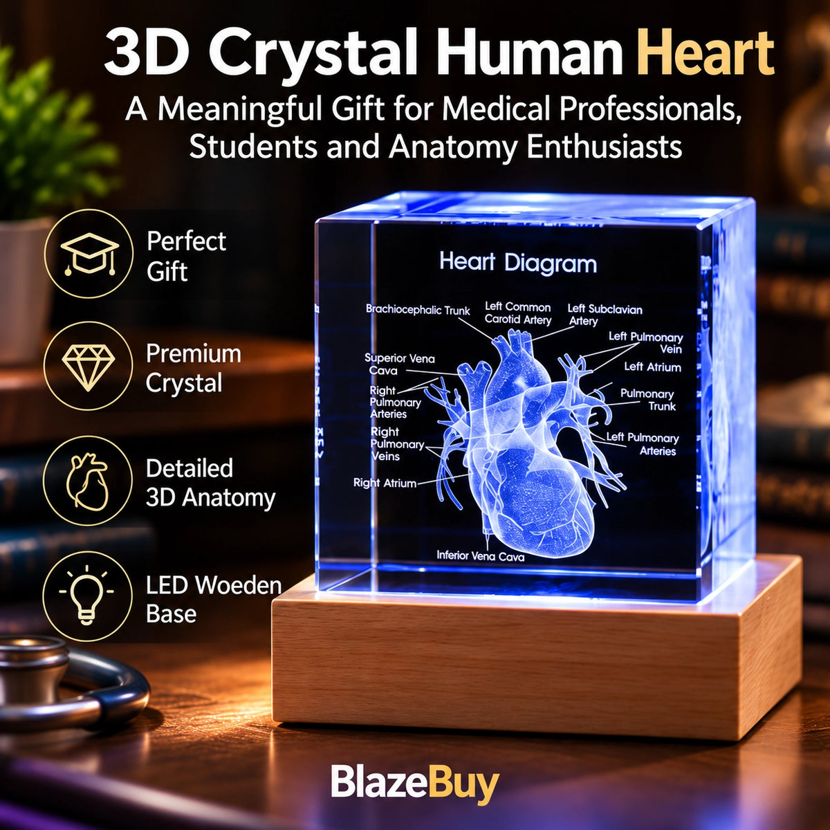 3D Crystal Human Heart Model