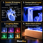 3D Crystal Human Heart Model