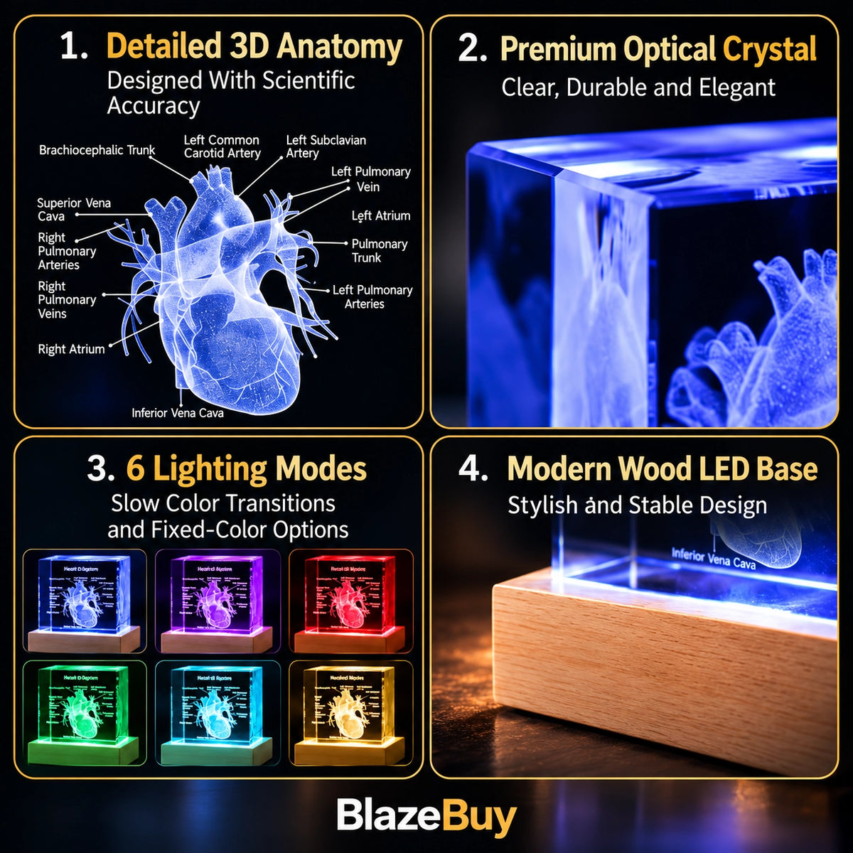 3D Crystal Human Heart Model