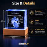3D Crystal Human Heart Model