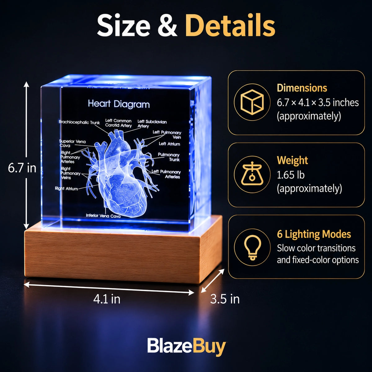 3D Crystal Human Heart Model