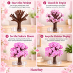 CrystalBloom Sakura