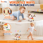 Musical Puppy Learning Toy