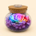 Eternal Rose Light Bottle