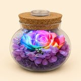 Eternal Rose Light Bottle