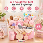 Luxury Baby Gift Basket