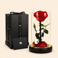 Eternal Rose Glass Dome