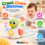 Musical Crawling Duck Toy