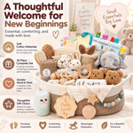 Luxury Baby Gift Basket