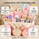 Luxury Baby Gift Basket