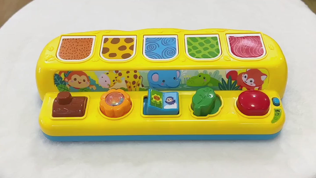 Pop-Up Animal Learning Toy