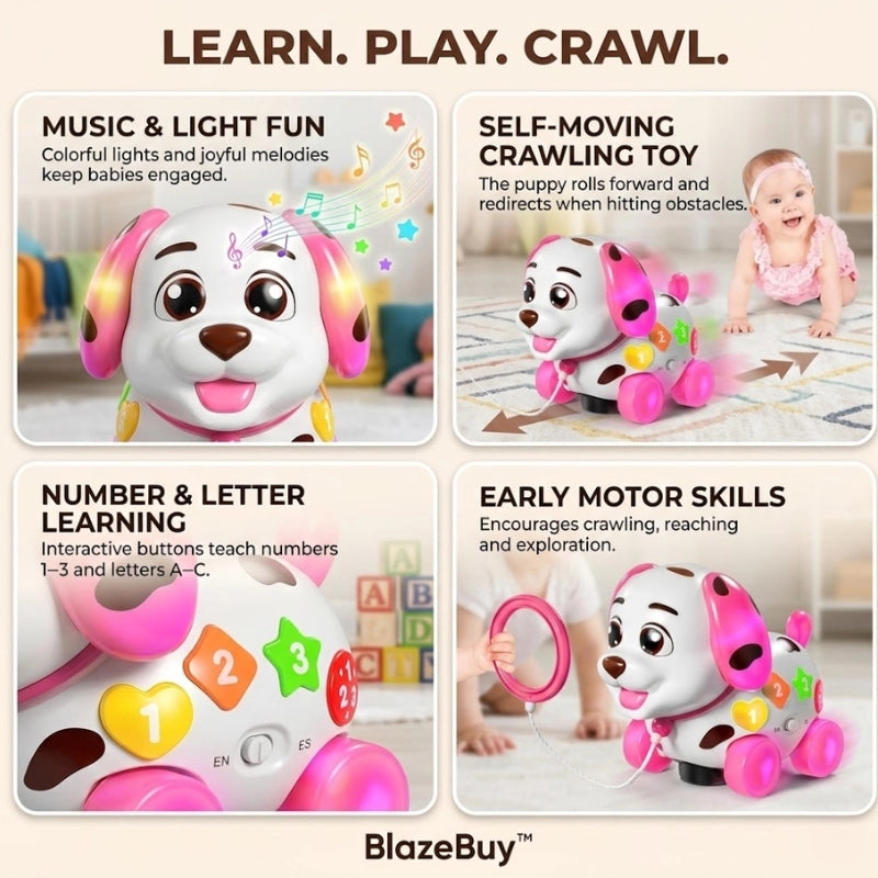 Musical Learning Puppy