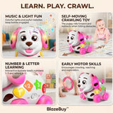 Musical Learning Puppy