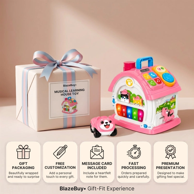 Musical Learning House Toy