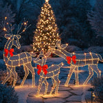 Lighted Outdoor Family Decor