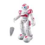 Smart Gesture Robot Toy