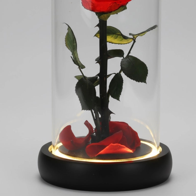 Eternal Rose Glass Dome