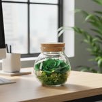 Eternal Rose Light Bottle
