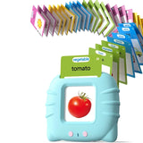 Talking Flash Card Learning Set