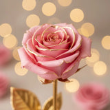 Forever Love Rose Gift