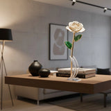 Forever Love Rose Gift